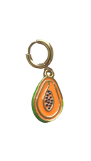 Paw Paw Charm