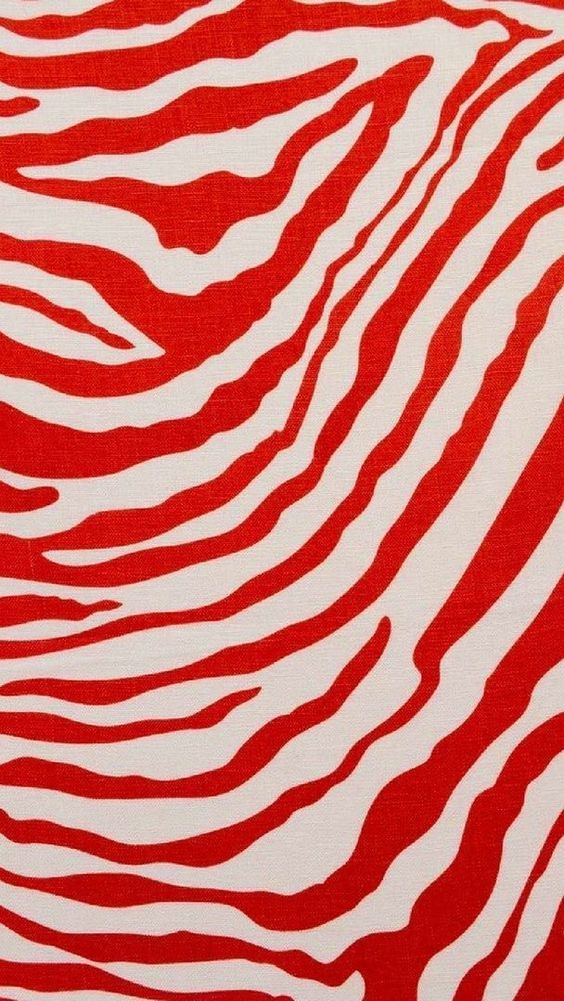 zebracolour